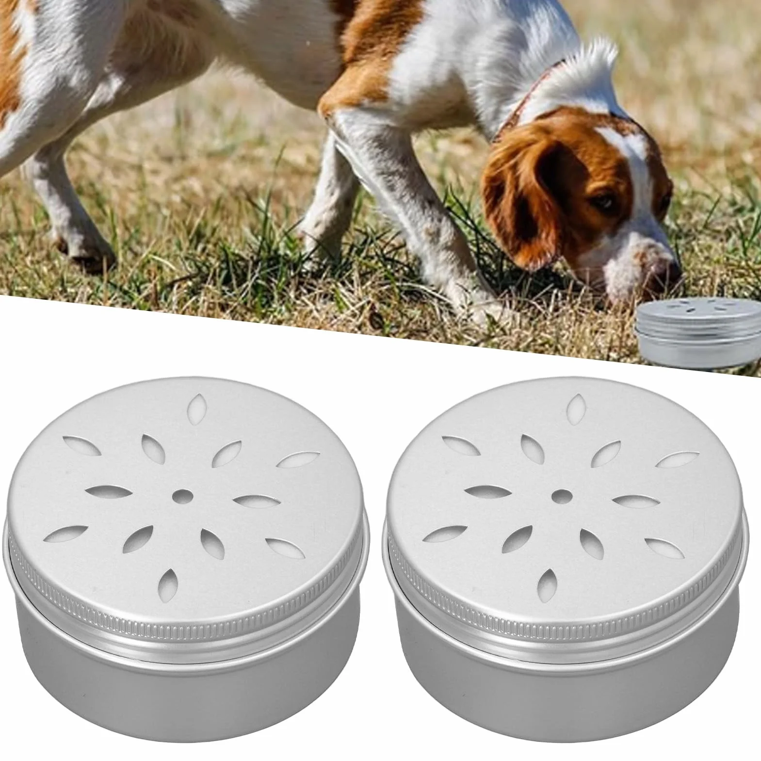 RIZGHWOY 10 Canettes de Dressage d'Odeurs pour Chiens, Kit Olfactif Canin, Conteneurs en Aluminium avec Points Magnétiques pour Activités de Dressage