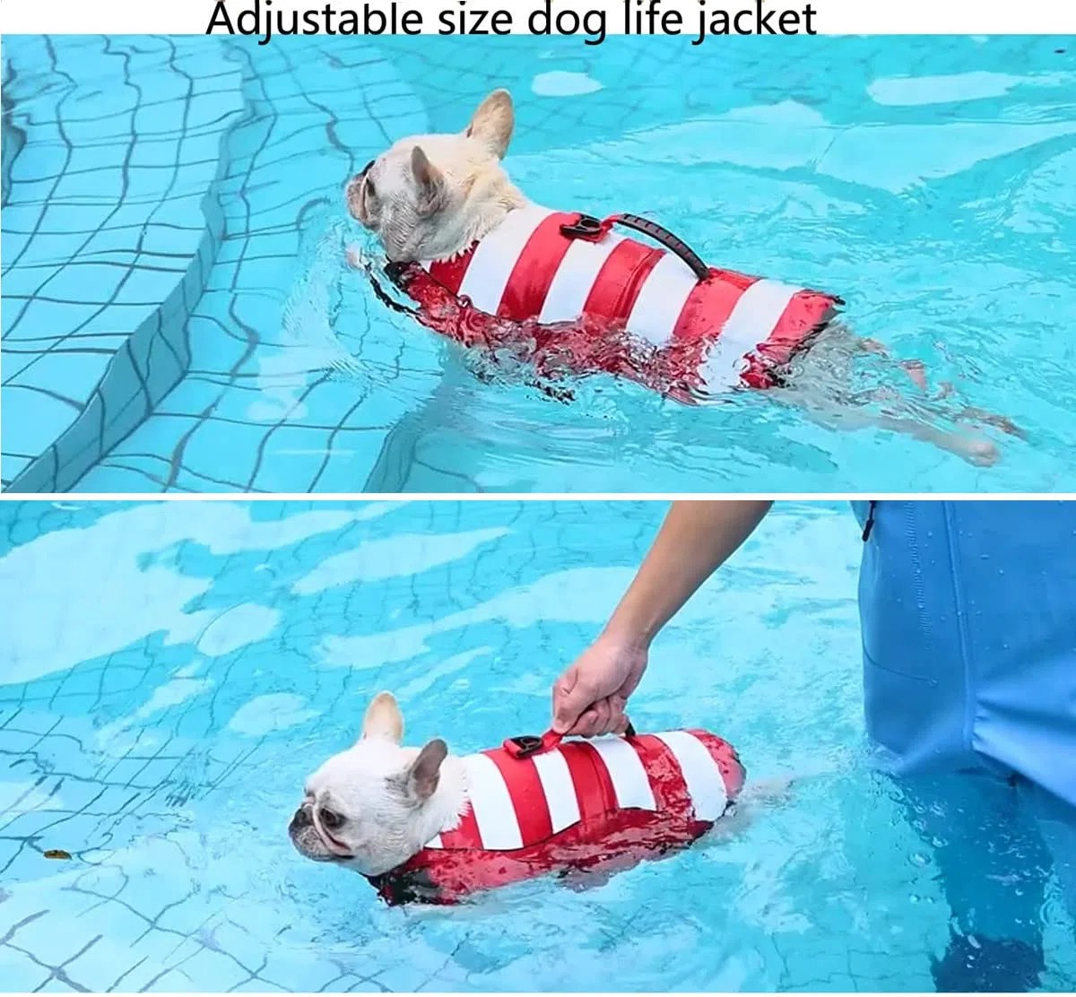 Gilets de Sauvetage pour Chiens Gilet de Flottaison Animaux Réglable,Gilets de Flottaison pour Animal de Compagnie avec Souple Poignée Pet Life Jacket(Rouge,L)