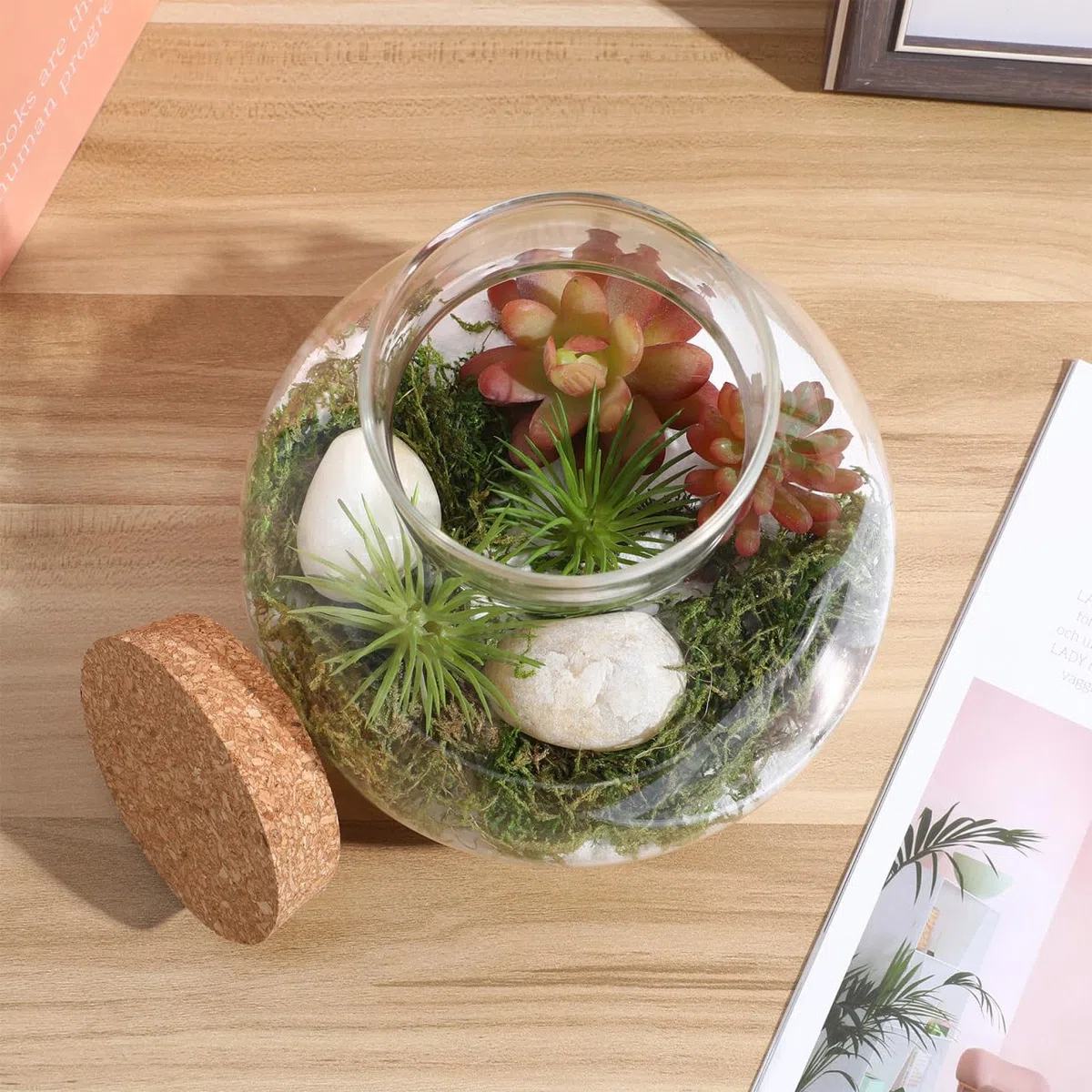 Happyyami Pot rond en verre transparent avec bouchon en liège pour terrarium à faire soi-même pour fougère et Fittonia Créez votre centre de table de jardin intérieur 15 cm