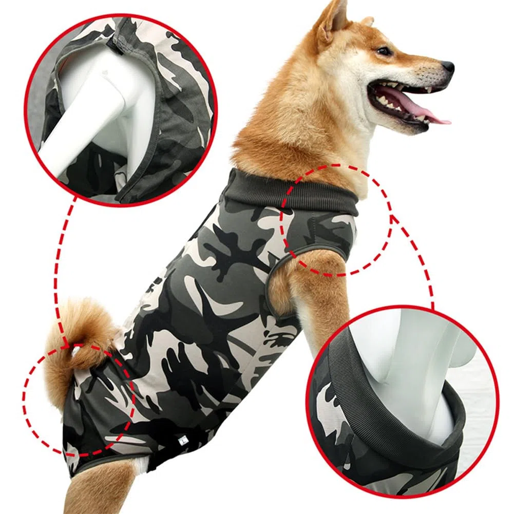 Chien sterilisation Body Chien Post operatoire Femelle Body pour Chien Castration Male Body Medical Déguisements pour Chiens, Vêtements de sevrage pour Chien (XX-Large, Rayé)