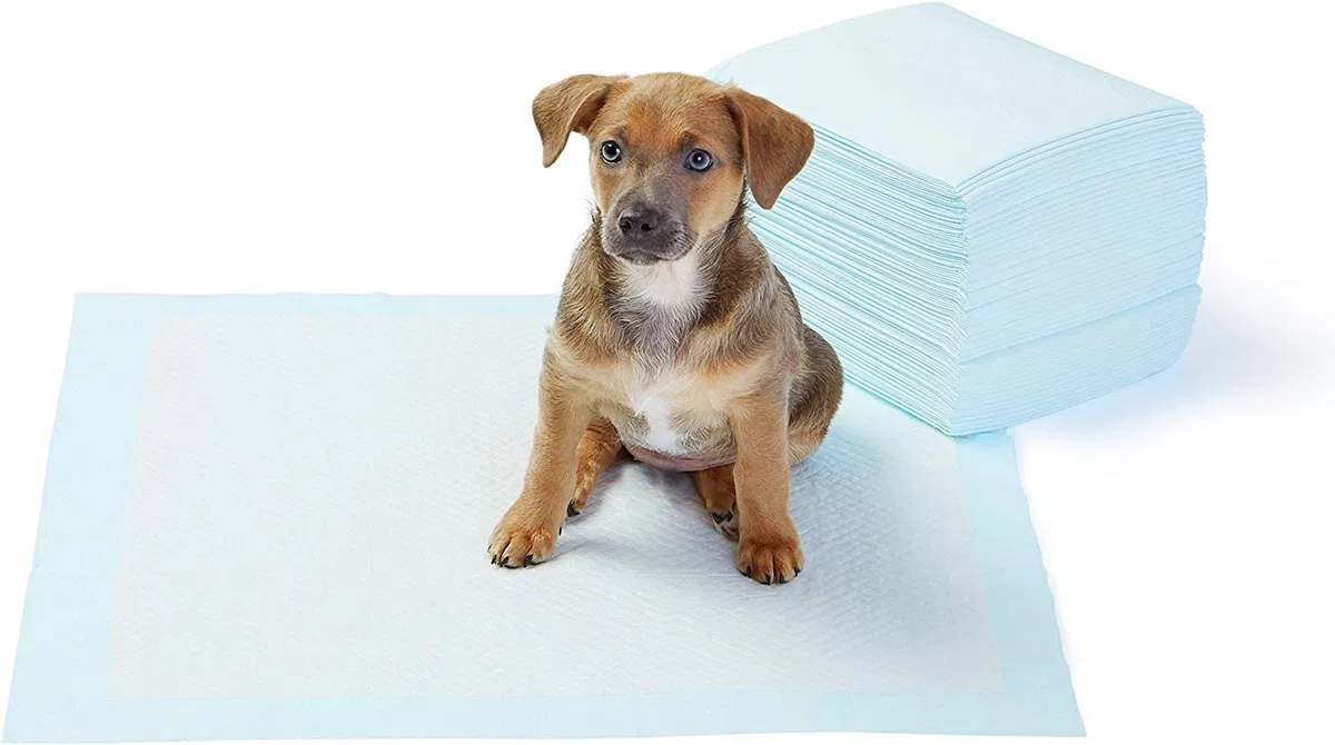 LPM - 120 Tapis Educateurs pour Chiens 60 x 40 cm - Apprentissage pour la propreté - Ultra Absorbant