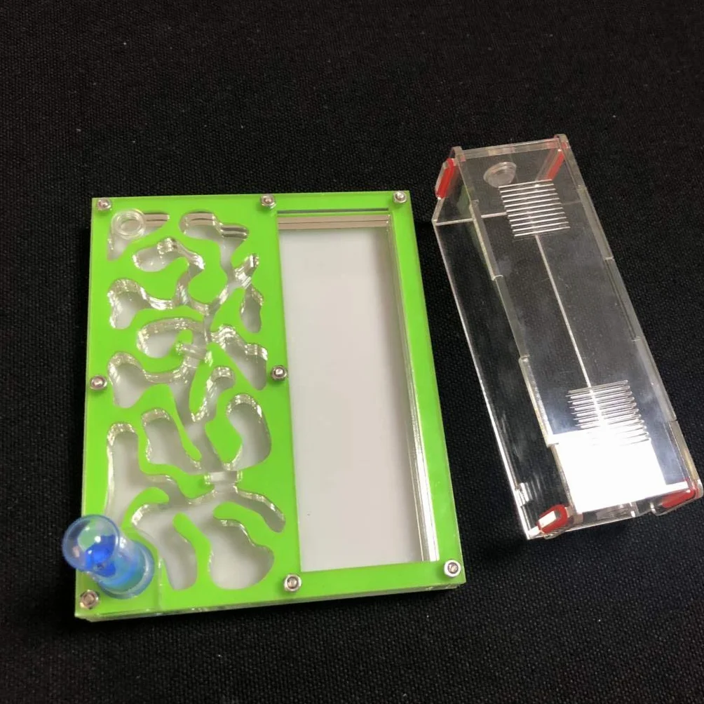 Formicarium Naturelle pour Ferme à Fourmis pour Tube à essai de Fourmis Live Humidité Grand Espace Nid de Fourmis en Acrylique, Fourmilière Insectes (Vert)