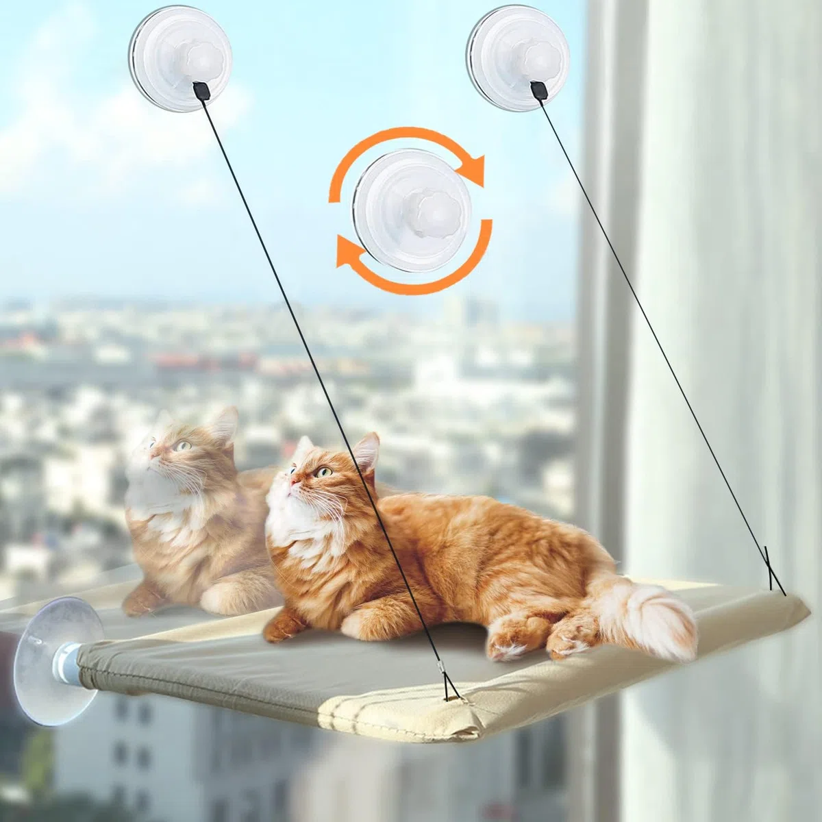 Cirulli Hamac Chat pour Fenêtre - Grande Étagère Murale, Fauteuil Inclinable Jusqu'à 25 kg, Lit Super Stable pour Bronzer, 54x30CM