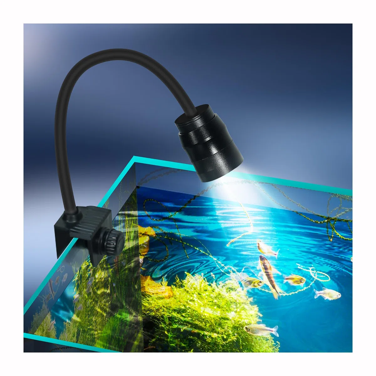 Les lampes d'aquarium à LED, l'éclairage à LED d'aquarium répondent aux exigences de résistance aux hautes températures, de dissipation rapide de la chaleur et d'utilisation durable (bouton fixe)