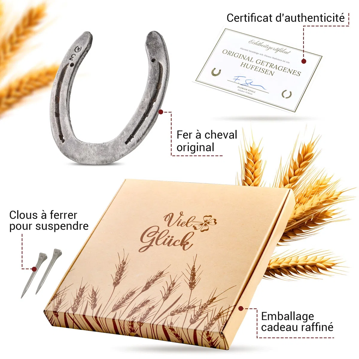 PURAJA Fer à Cheval Cadeau | Véritable Fer à Cheval porté | Porte-Bonheur pour Un Anniversaire, Un emménagement, Une fête, Un Mariage, Un baptême ou Une Naissance | avec Certificat d'authenticité
