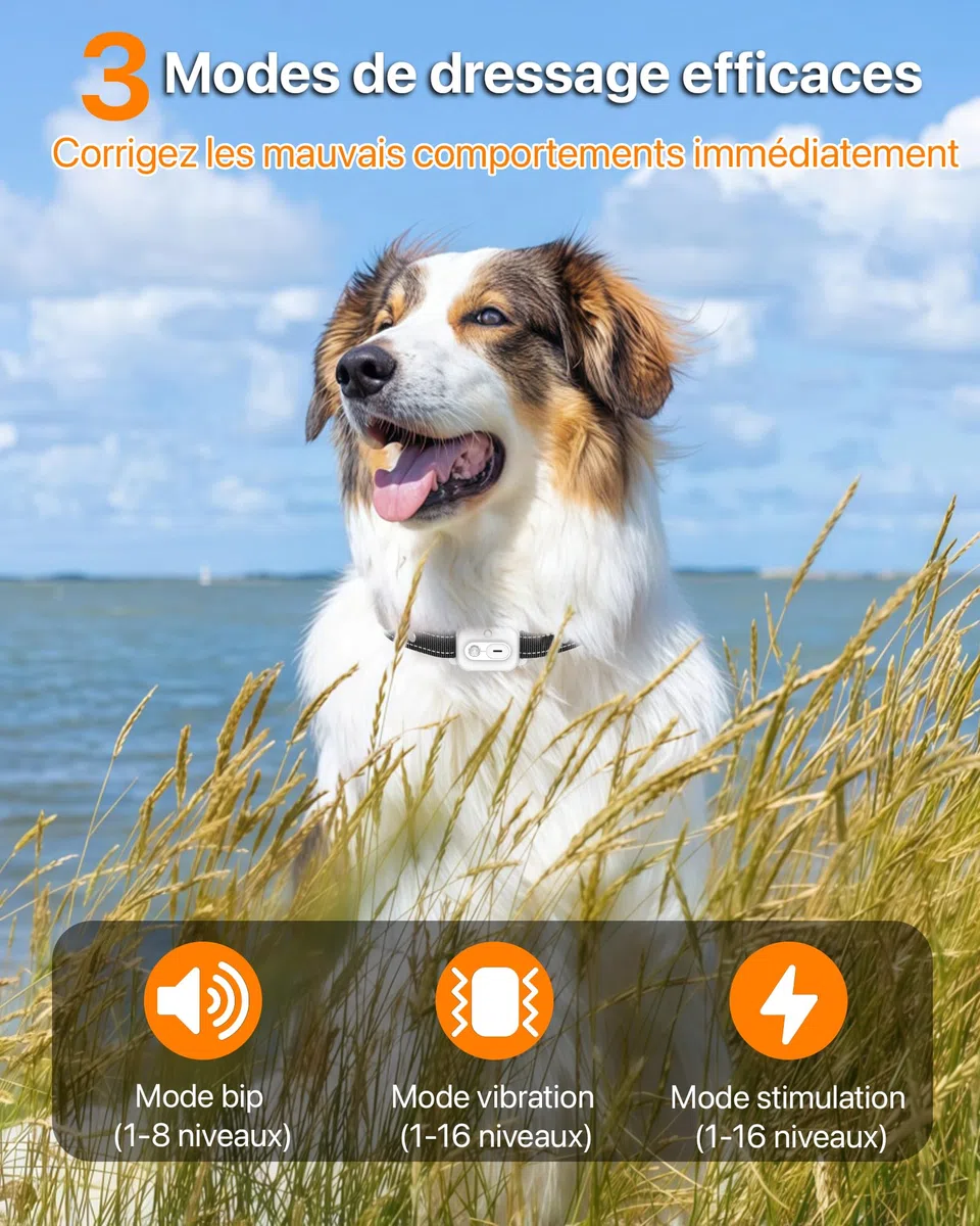 Collier De Dressage pour Chien,Collier Electrique pour Chien Portée de 3km,Mode Lumière Nocturne,1-50 Niveaux d’Entraînement, BIP Vibration Choc, Adapté à Tous Les Chiens,Étanche Rechargeable