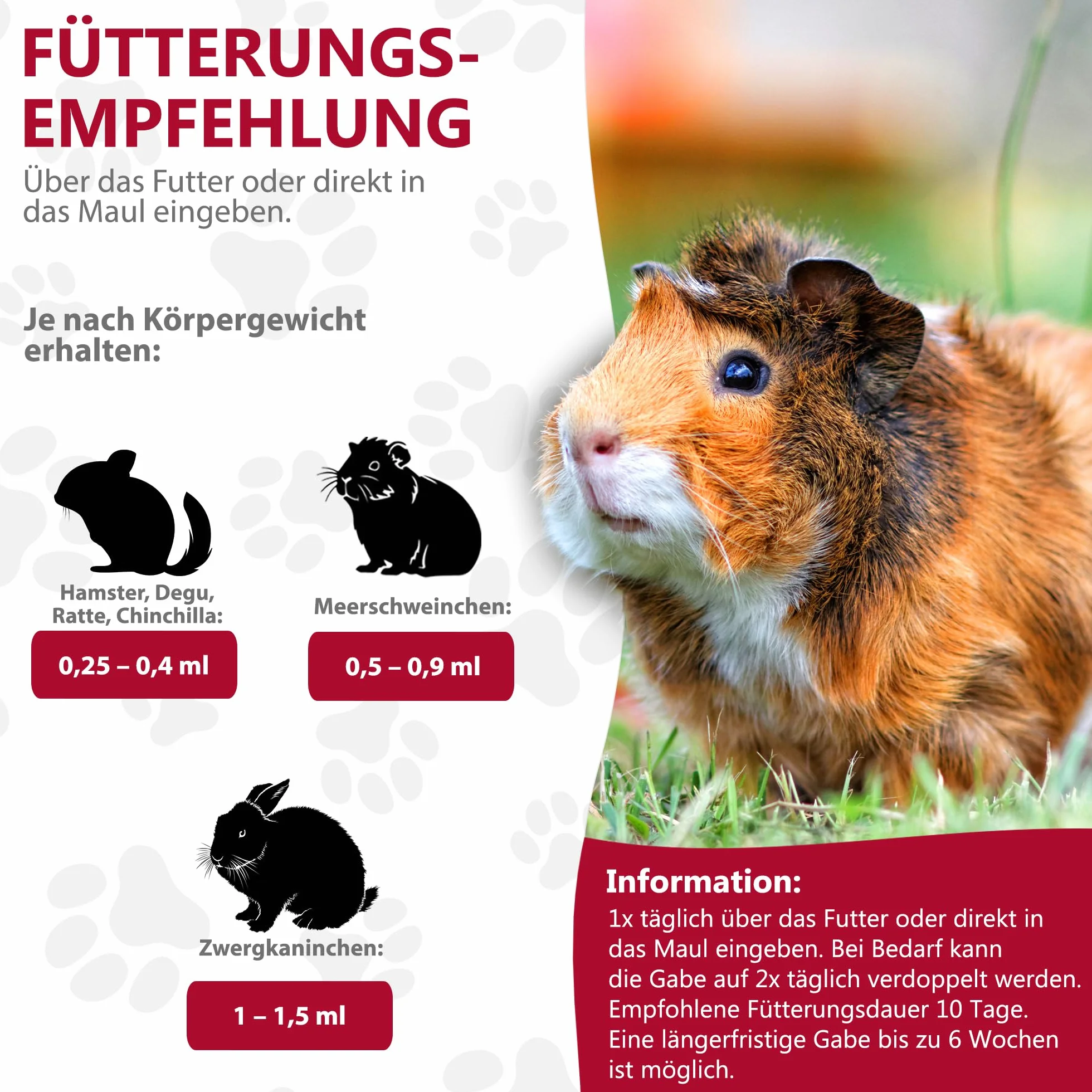 alfavet RodiCare Pulmo : 20 ML Complément Alimentaire pour Lapins Nains, cochons d'Inde et Petits rongeurs pour Soutenir Les défenses physiologiques des Voies respiratoires