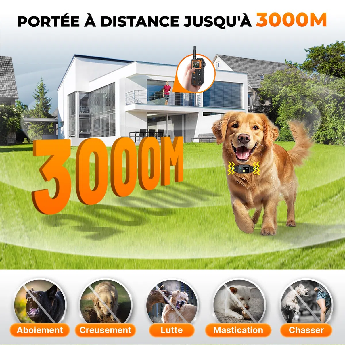 Collier de Dressage pour Chien, Portée 3000 Mètres, Collier Électrique pour Chien avec Télécommande, 4 Modes Lumières/Son/Vibration/Choc, Résistant à l'eau IP67, Adapté Aux Chiens de Petits et Grands
