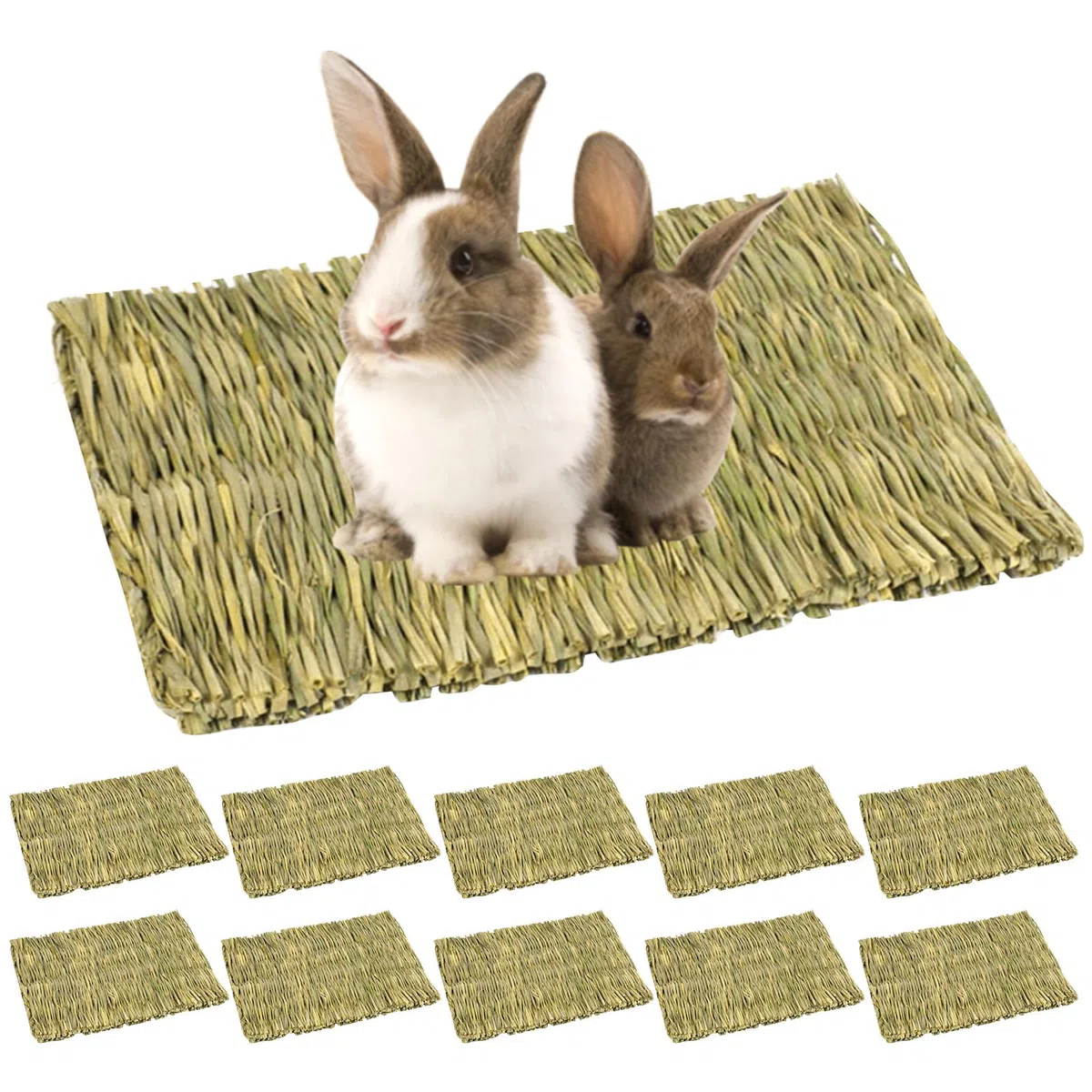 Lot De 10 Tapis D'herbe Pour Les Lapins, Tapis Tissé Pour Petits Animaux, Tapi D'herbe Pour Petits Animaux, 28 X 20cm Tapi D'herbes Naturel Tissé À La Main Pour Hamster, Cochon, Lapin Et Perroquet