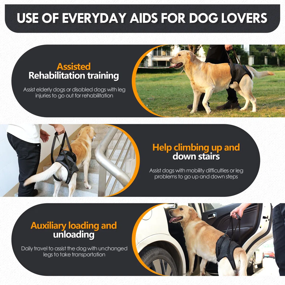 Harnais Soutien Arrière Réglable pour Chien - Aide à la Mobilité avec Poignée - pour Chien Handicapé, Blessé, Âgé - Toutes Tailles (P/M/G) (Gris foncé, XL)