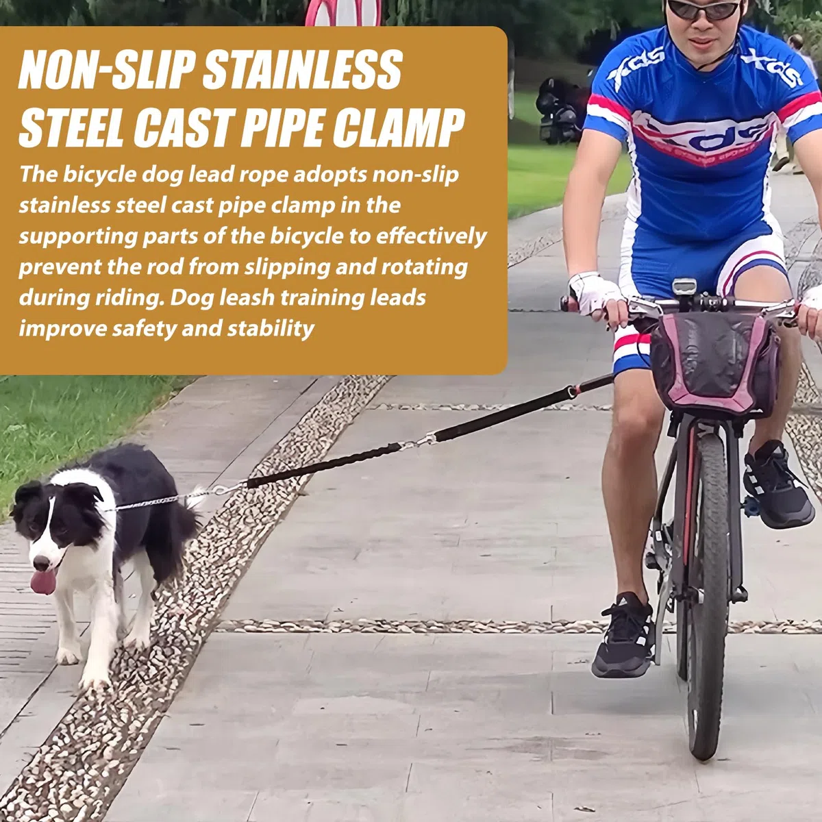 Laisse de vélo pour chien : laisse d'exercice rétractable, mains libres, avec clé hexagonale et joint en caoutchouc, entraînement pour chiens