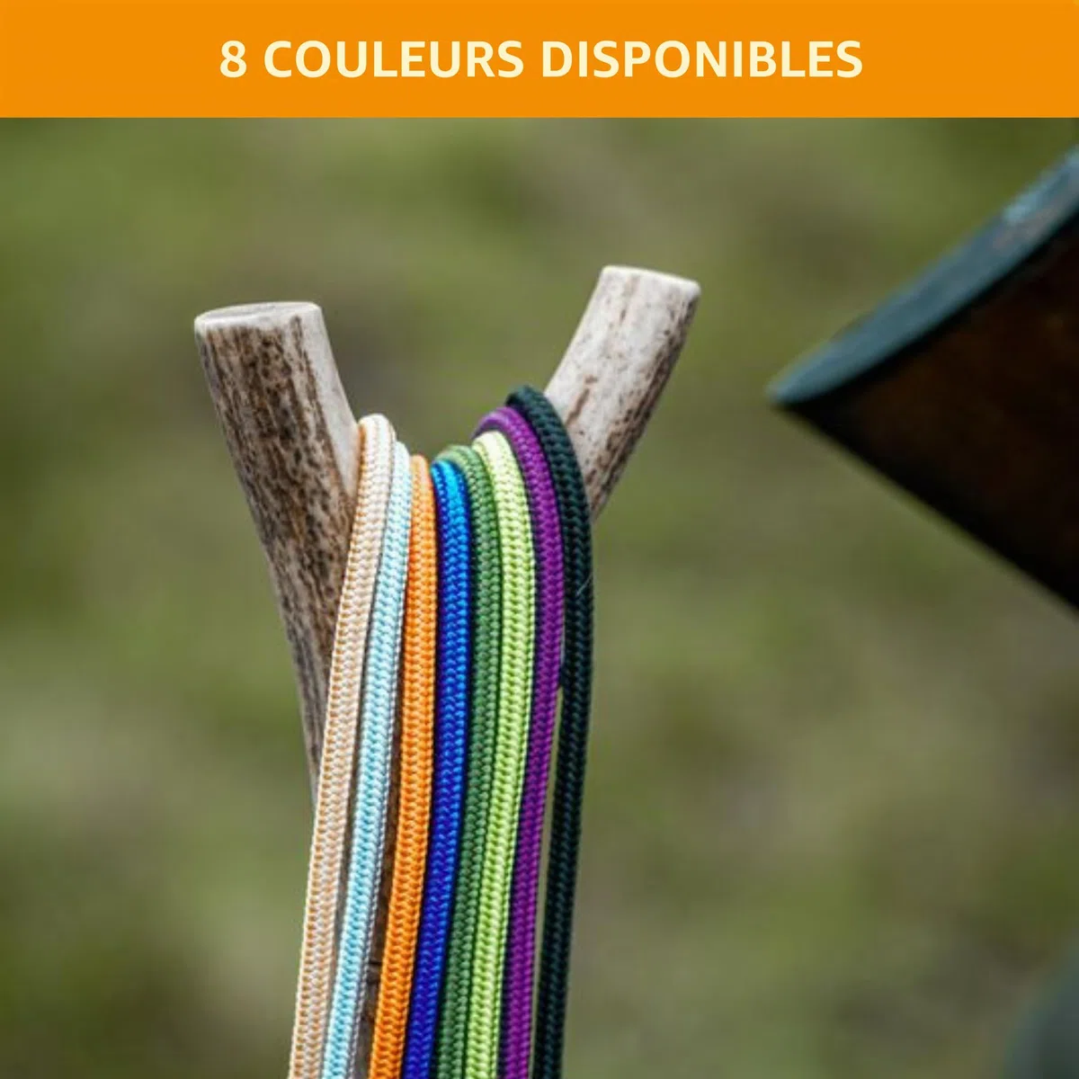 Dog & Field Signature - Laisse coulissante pour Chiens, Couleur Noire, Laisse légère de 1,2 m avec Bouchon en Caoutchouc Coulissant, Laisse d'entraînement pour Chiens, Laisse Fine coulissante, Pas