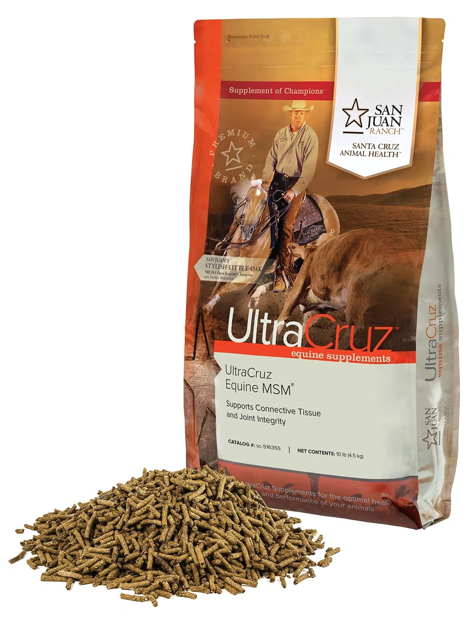 UltraCruz Equine MSM, 10 LB