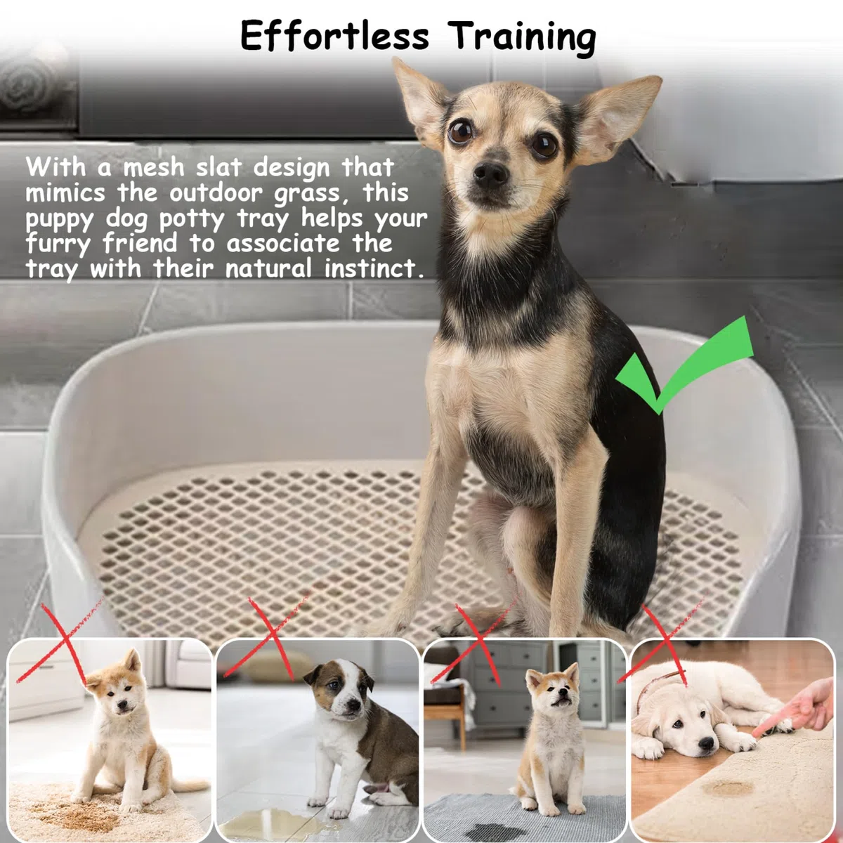 Gamelle de toilette pour chien - 15,8 x 11,8 x 4,3 cm - Dans toilettes amovibles pour chien en plastique - Entraîneur pour petits animaux de compagnie - Lavable pour petits chiens et chiots (bla