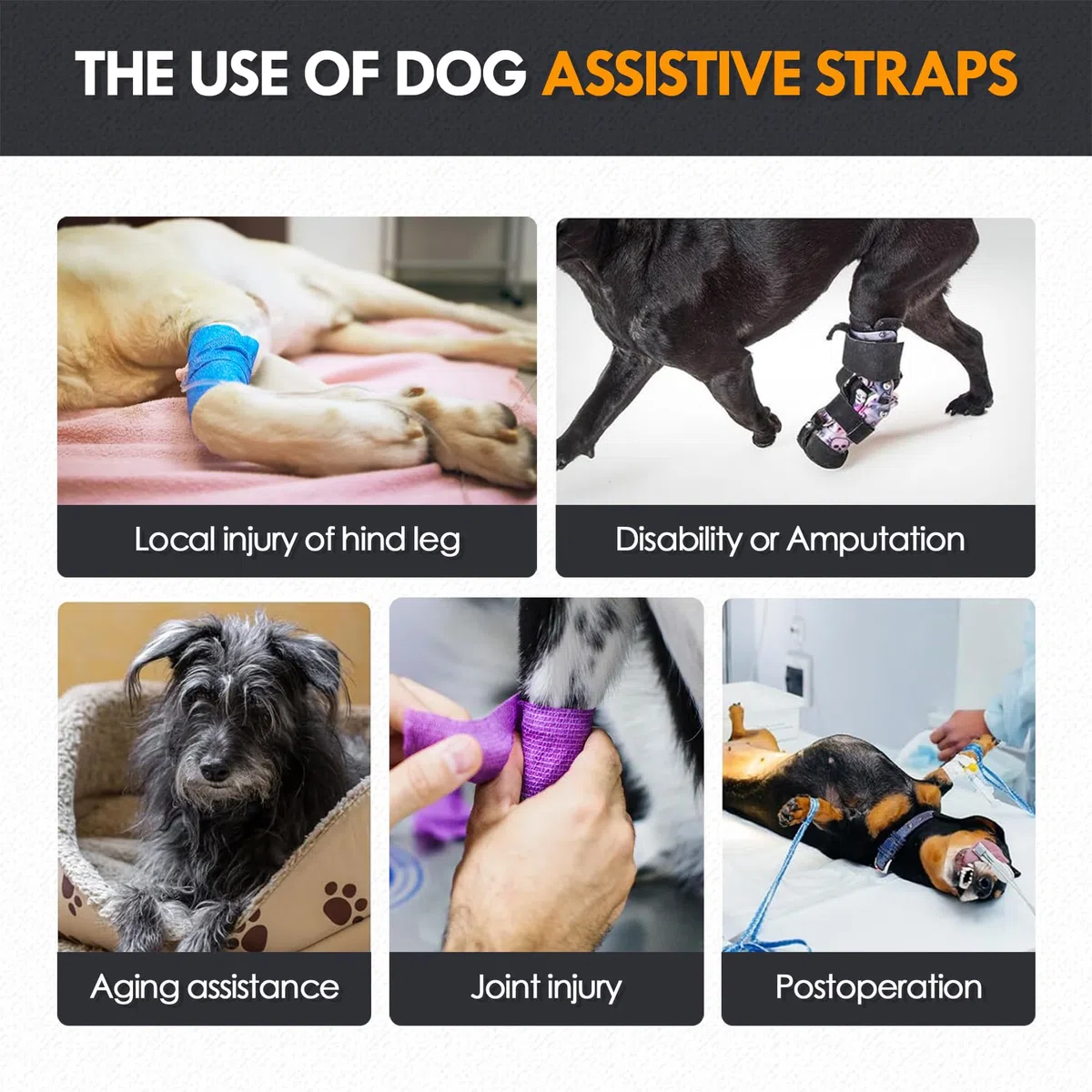 Harnais Soutien Arrière Réglable pour Chien - Aide à la Mobilité avec Poignée - pour Chien Handicapé, Blessé, Âgé - Toutes Tailles (P/M/G) (Gris foncé, XL)