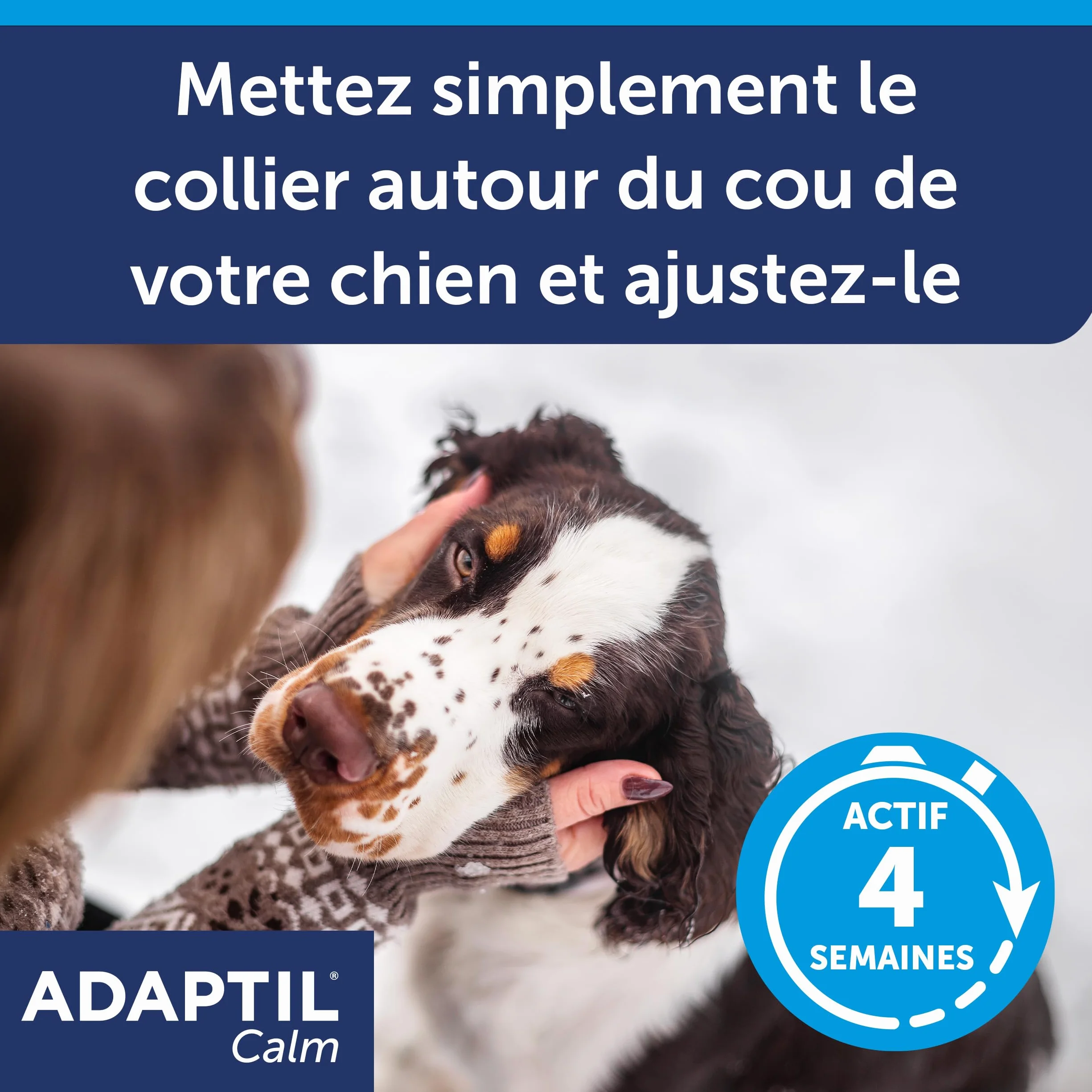 ADAPTIL Calm – Anti-stress pour chien – Collier Moyens et Grands Chiens – Taille M/L