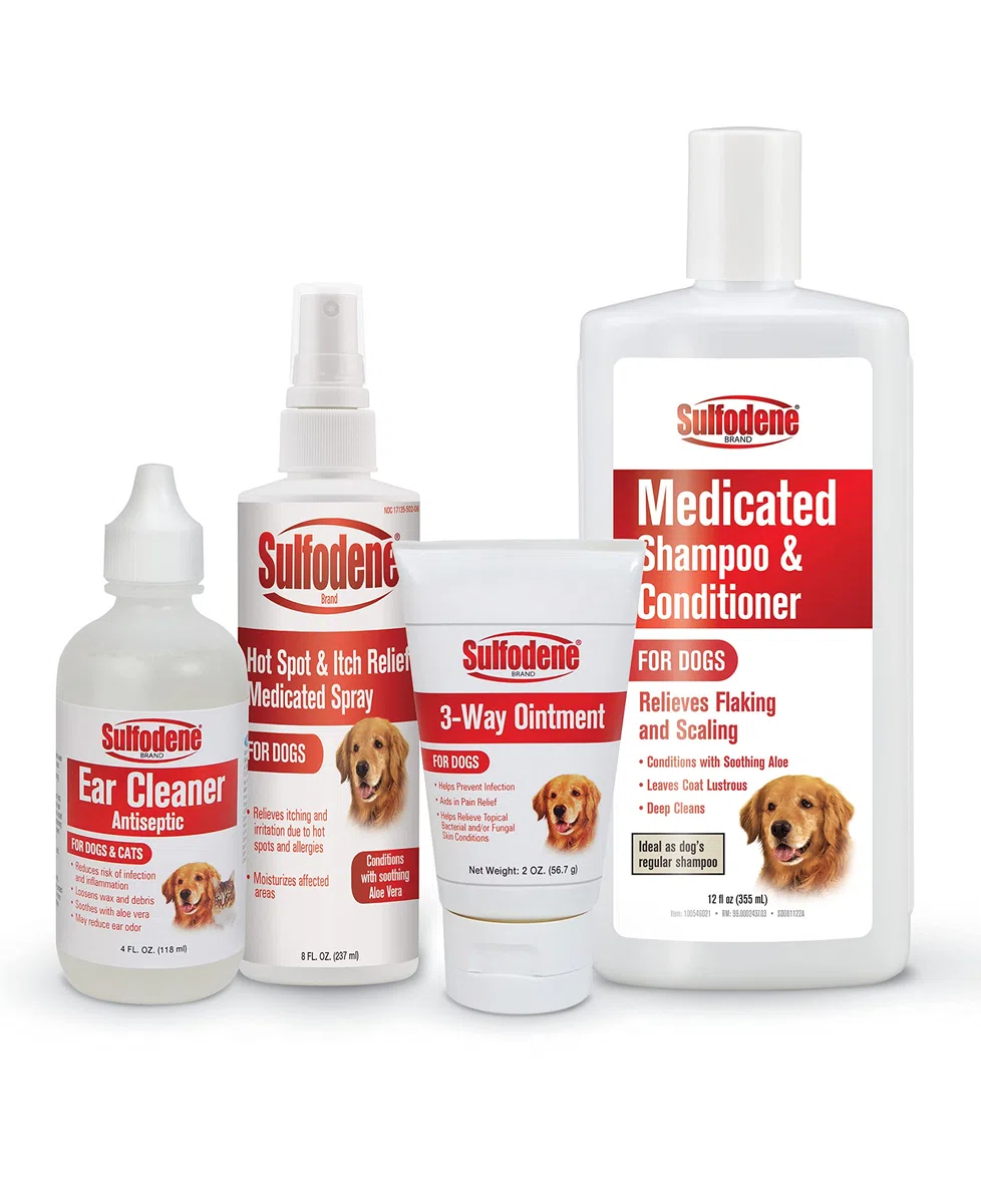 Sulfodene Shampooing médicamenteux à l'aloès, 12 oz