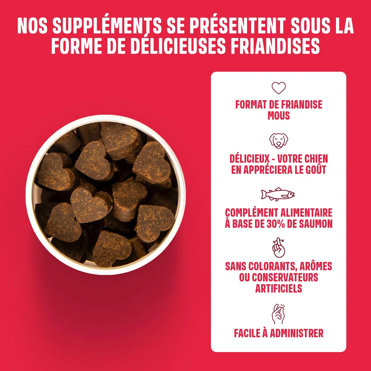 ivvi Allergy Immunity pour chiens – contre les allergies et les démangeaisons et pour renforcer le système immunitaire – 60 délicieuses collations (270 g) au saumon