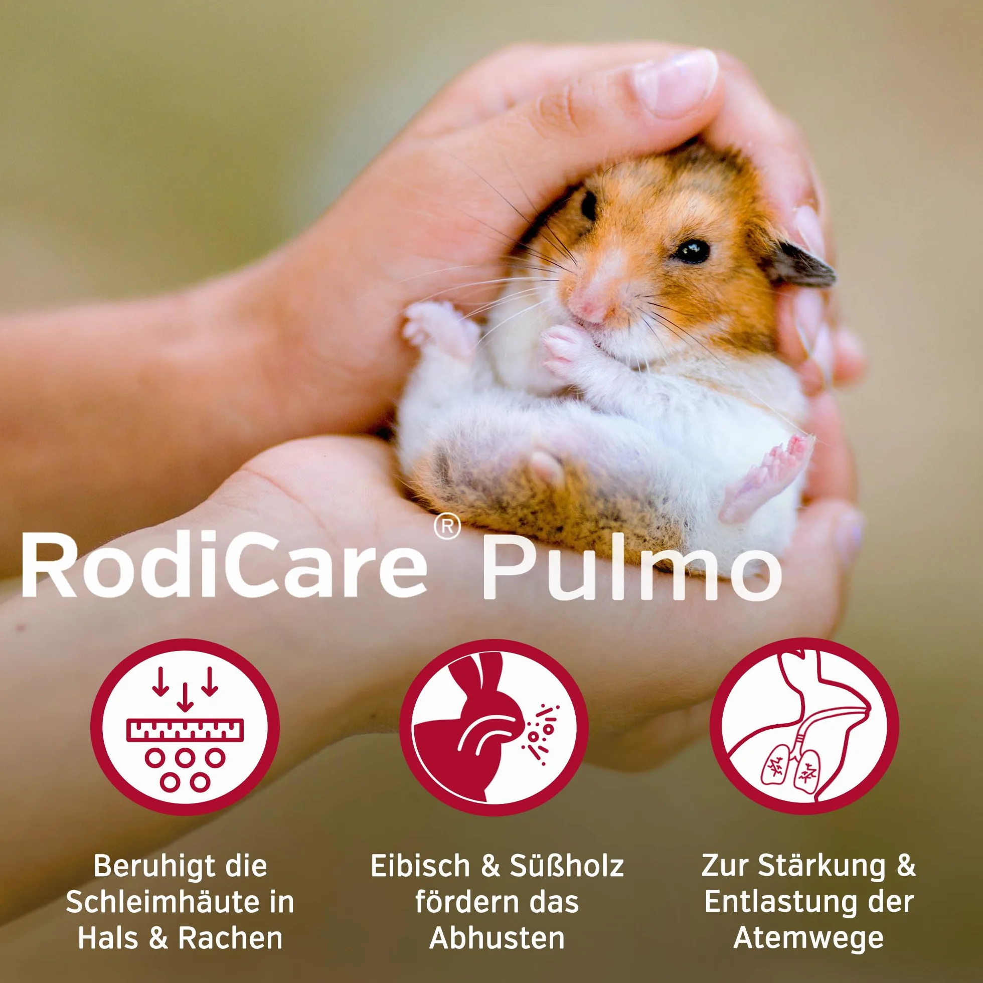 alfavet RodiCare Pulmo : 20 ML Complément Alimentaire pour Lapins Nains, cochons d'Inde et Petits rongeurs pour Soutenir Les défenses physiologiques des Voies respiratoires