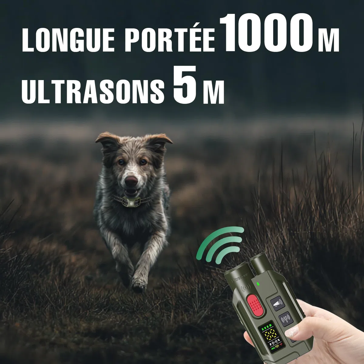 Collier de Dressage pour Chien 2 en 1 – Mode Ultrason Anti-Aboiement (Portée 5 m) & Télécommande 1000 m, Bip, Vibration & Choc Sécurisé, Étanche IP67 & Rechargeable, Vert