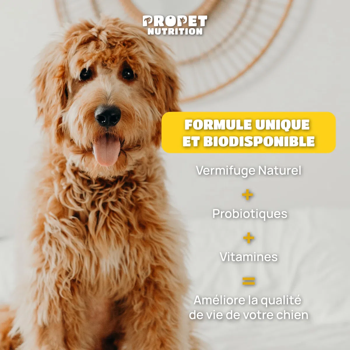 Vermifuge Chien à Base d'Extraits de Plante. 120 Comprimés. Contre Les vers. 100% Naturel. Probiotique Chien + Vitamines B. Protection Intestinale. Toutes Races, Chiot et Chaton. Antiparasite Interne
