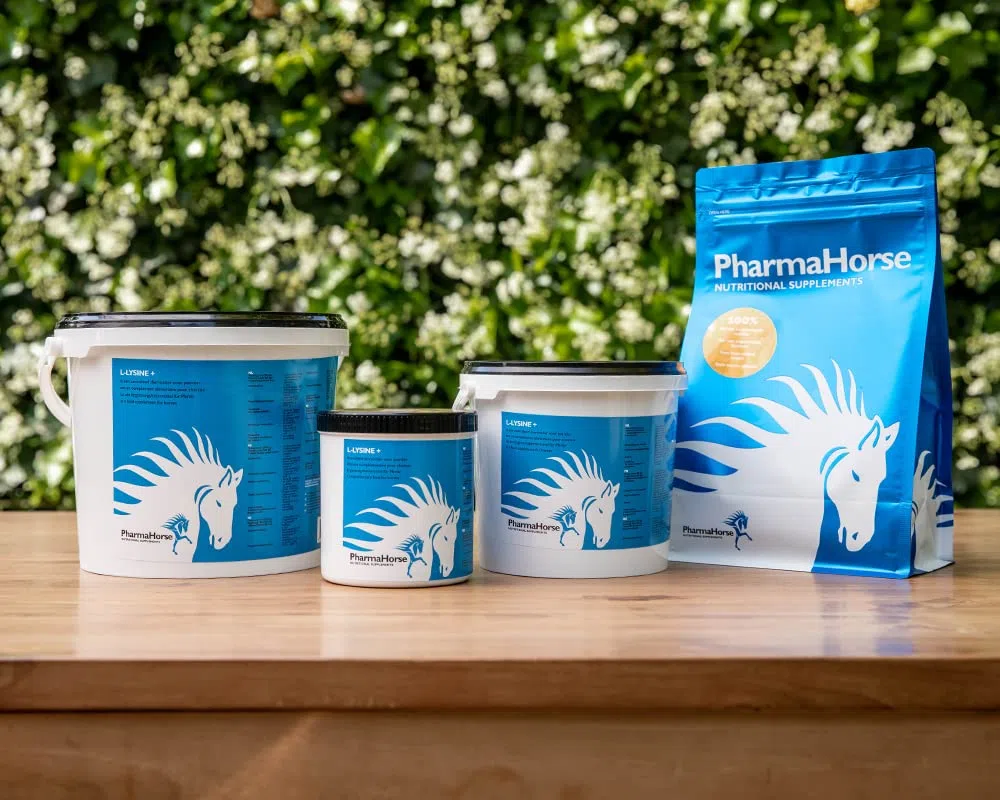 PharmaHorse L-Lysine+ | Système immunitaire Cheval | Acide aminé Cheval | Production de protéines corporelles | Réduction Fatigue | 1000 grammes