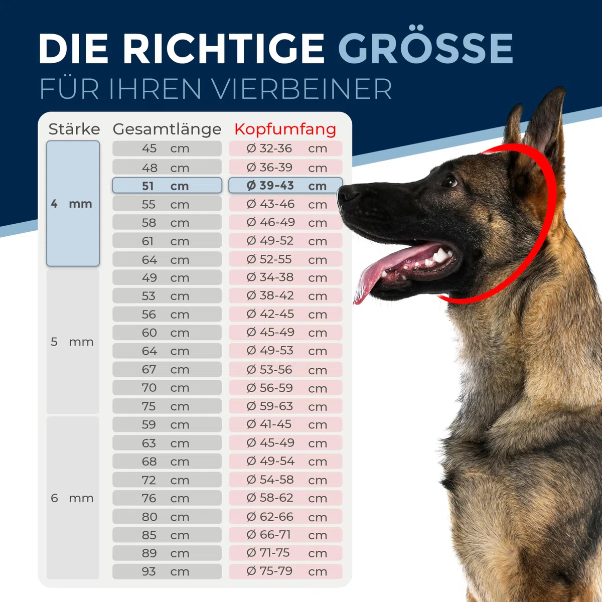 Collier de Dressage Chien Acier Inoxydable – chaîne maillons Longs, 4 mm, 51 cm, léger et Discret, Anti-Traction