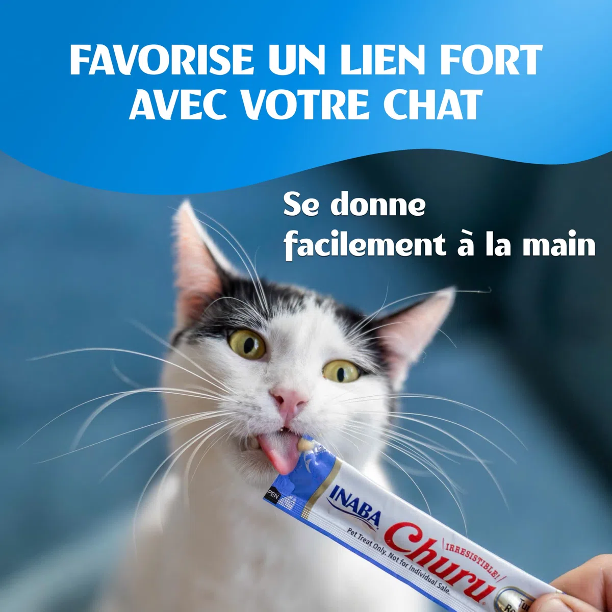 INABA Churu - Friandises pour Chats en Purée aux 4 Saveurs de Thon - Délicieux Snacks pour Félins - Texture Lisse et Onctueuse - Nourriture pour Chats - 40 Tubes x 14g