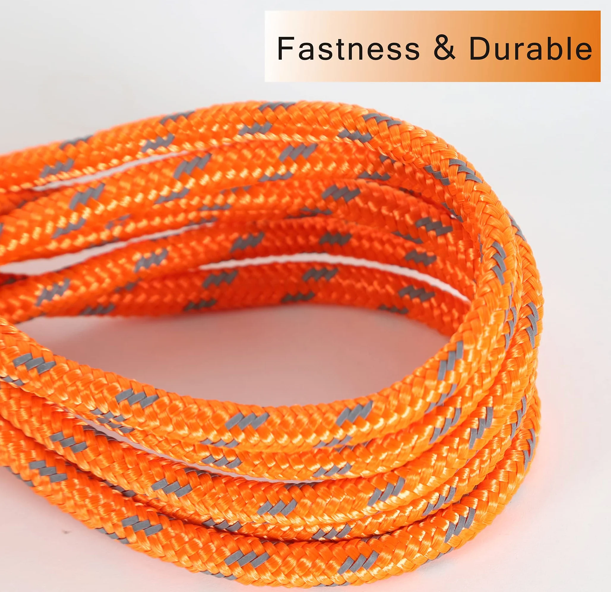Laisse réfléchissante pour Chat – Câble Anti-Fugue – Laisse Longue et sûre pour la Marche, la Cour, Durable, sûre, personnalisée, pour Chiots, Chatons, Lapins, Petits Animaux