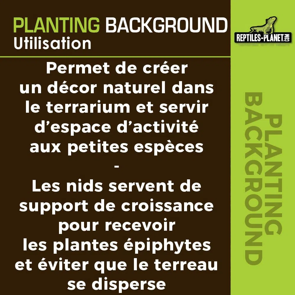 Reptile Planet - Planting Background - Décor en Fibre de Coco pour Terrarium - 20 x 30 cm