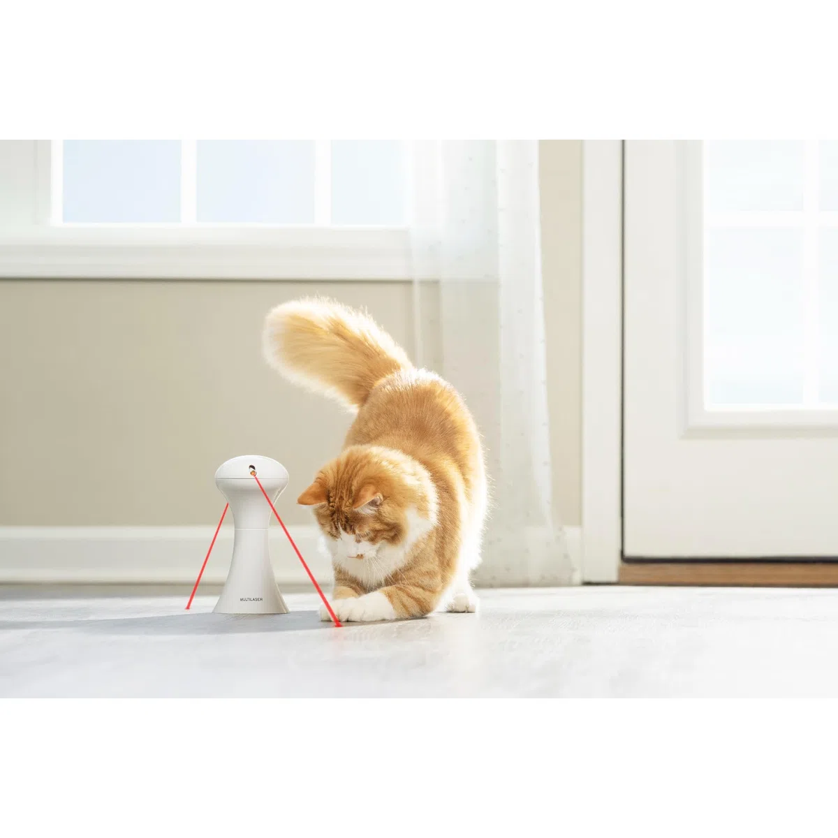 PetSafe Jouet Multi-Lumières pour Chats - 0,34 kg