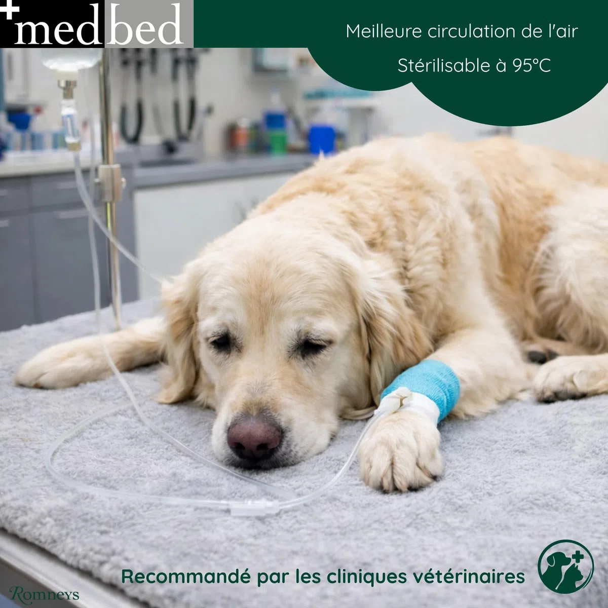 MedBed Couverture pour chien médicinale standard, d'origine, grise