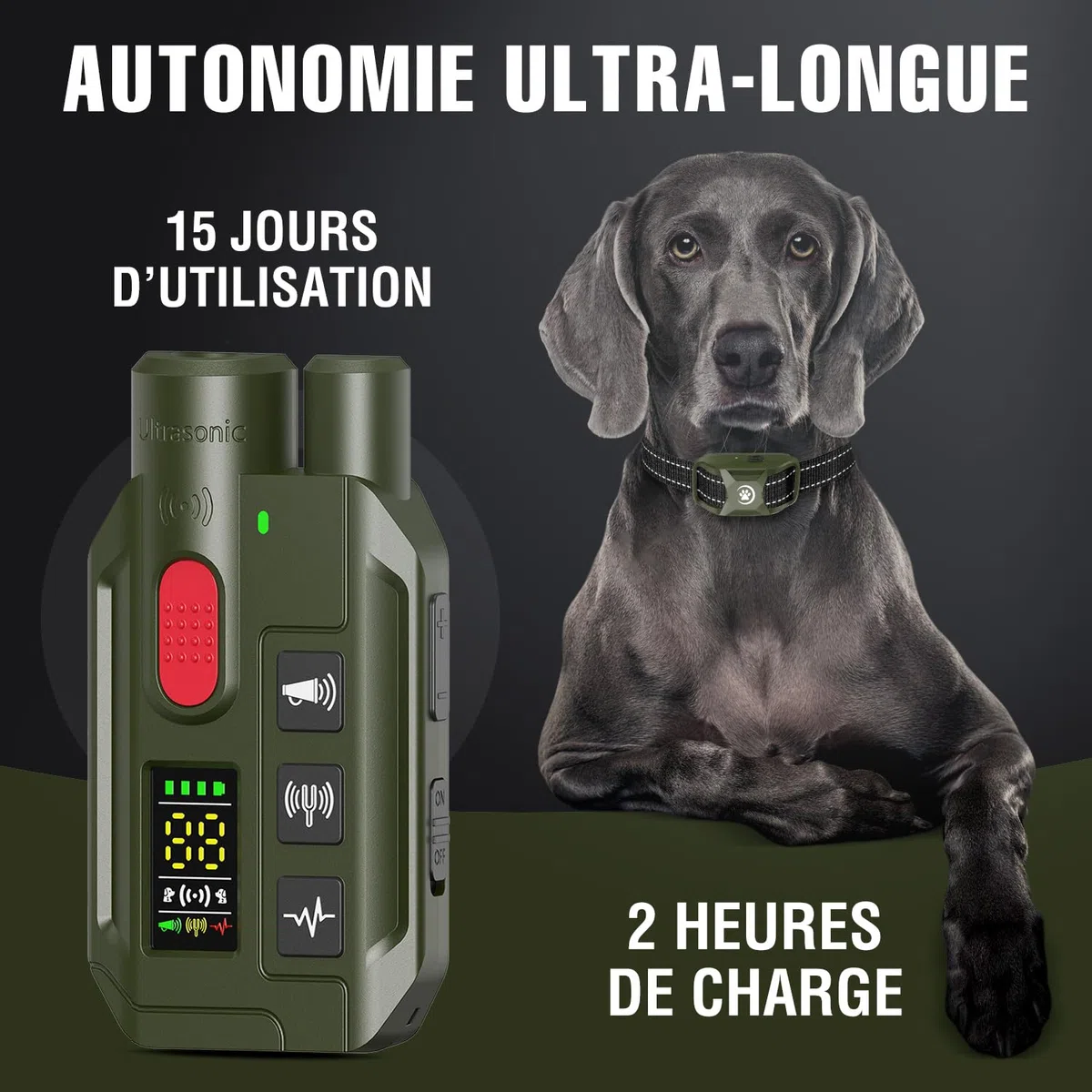 Collier de Dressage pour Chien 2 en 1 – Mode Ultrason Anti-Aboiement (Portée 5 m) & Télécommande 1000 m, Bip, Vibration & Choc Sécurisé, Étanche IP67 & Rechargeable, Vert
