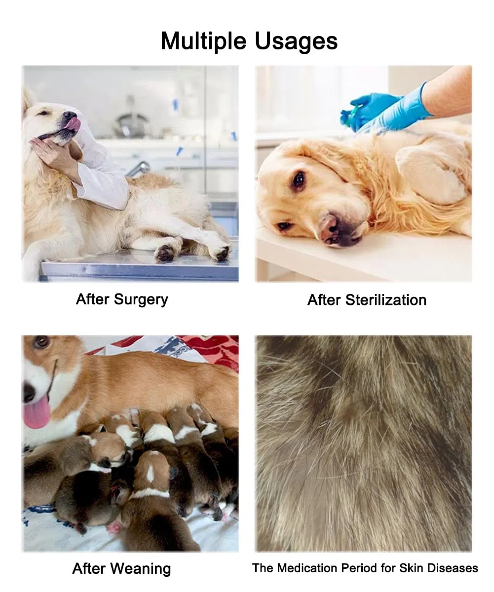 Chien sterilisation Body Chien Post operatoire Femelle Body pour Chien Castration Male Body Medical Déguisements pour Chiens, Vêtements de sevrage pour Chien (XX-Large, Rayé)