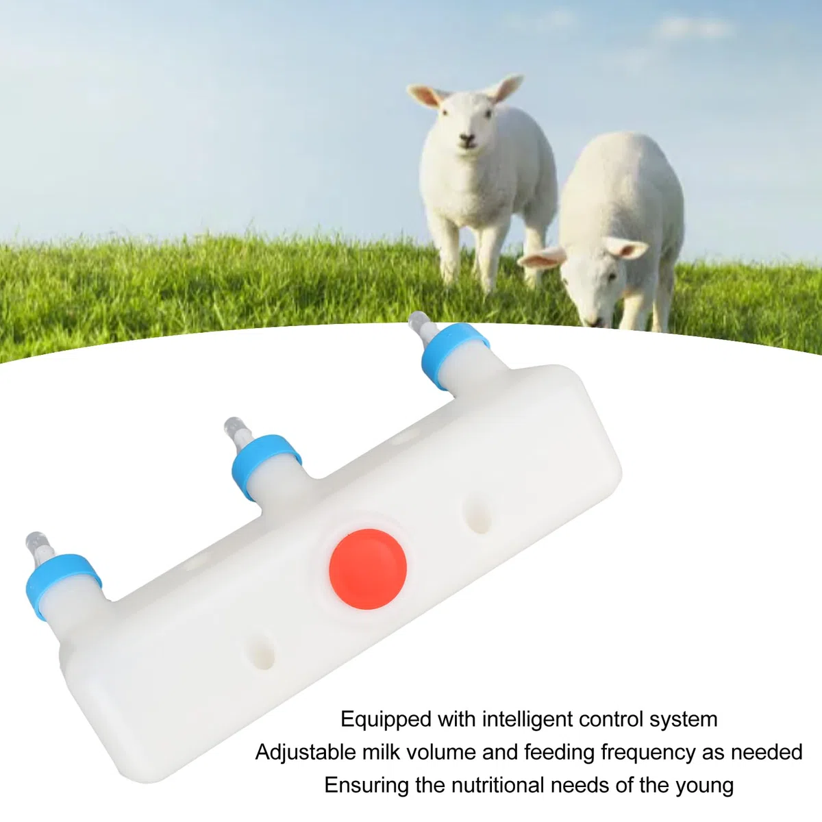 Mangeoire à Agneau 3 Sucettes pour Petits Animaux, Biberon de Lait de Chèvre, pour Porcelets, Chiots, Lampe pour bébé, Chatons – Équipement de Boisson de Ferme, Conception à