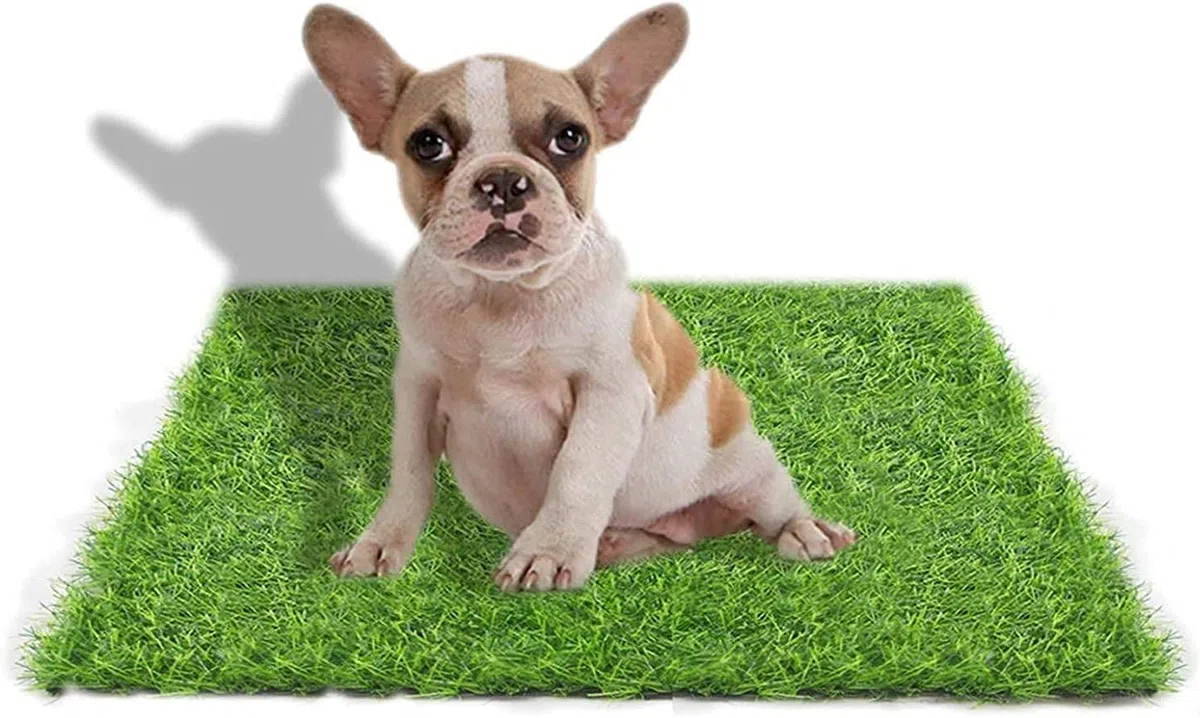 50 X 60 cm Gazon Artificiel pour Chiens, intérieur et extérieur, Fausse Herbe pour Chiens, Zone d'apprentissage de la propreté, terrasse, pelouse, décoration