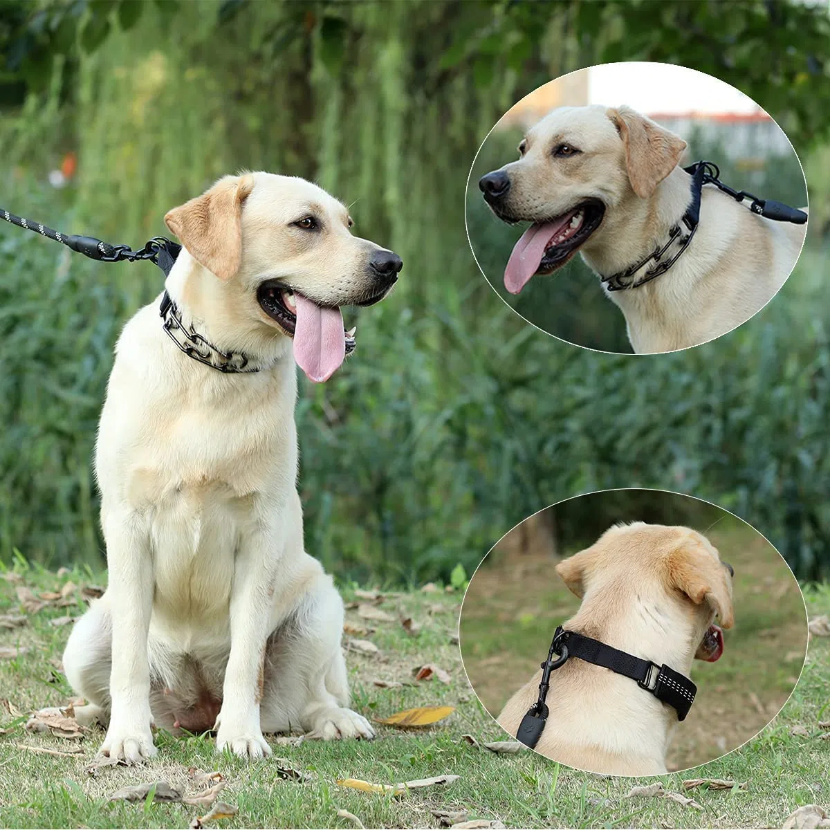 Collier de Dressage à Griffes pour Chien, Collier de chaîne réglable avec Embouts de Confort et Boutons-Pression à dégagement Rapide (XL)