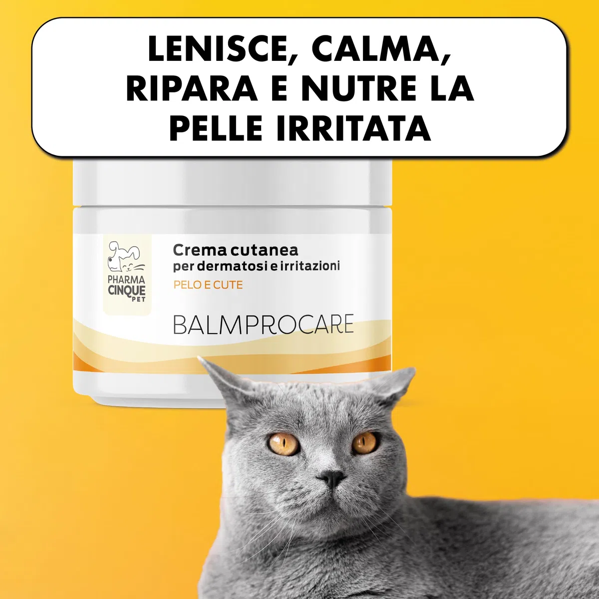 Balmprocare – Baume apaisant pour Chiens et Chats – Peaux sensibles, sèches ou irritées – Soin cutané Quotidien – 50 ML