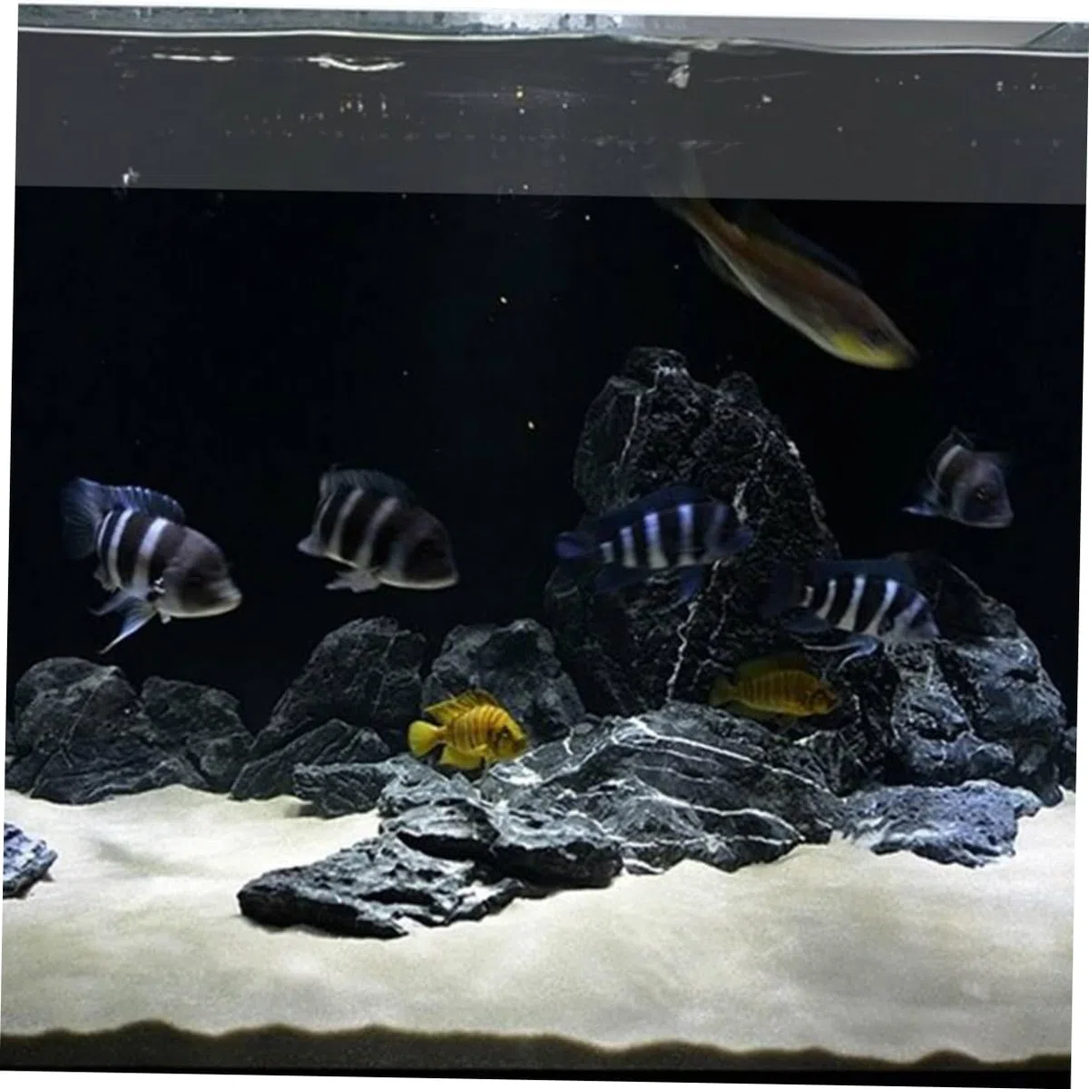 BESPORTBLE Décoration De Sable De Quartz 500 G De Sable Pur pour Aquariums Et Décoration De Jardin