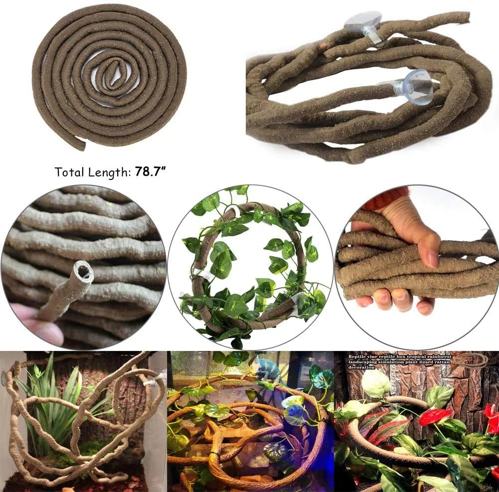 PINVNBY Hamac à motif de dragon barbu - Accessoires pour aquarium - Maille respirante - Hamac lézard pour reptile - Feuilles grimpantes artificielles - Avec ventouses - Pour caméléon, gecko, serpents