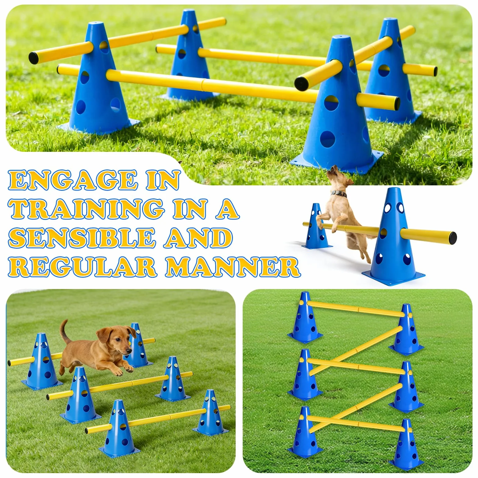 Ensemble D'agilité pour Chiens Ensemble de BarrièRes Enfichables pour Chiens, Kit d'obstacles RéglablesPour Le Les Sports Canins Les Sports équestres
