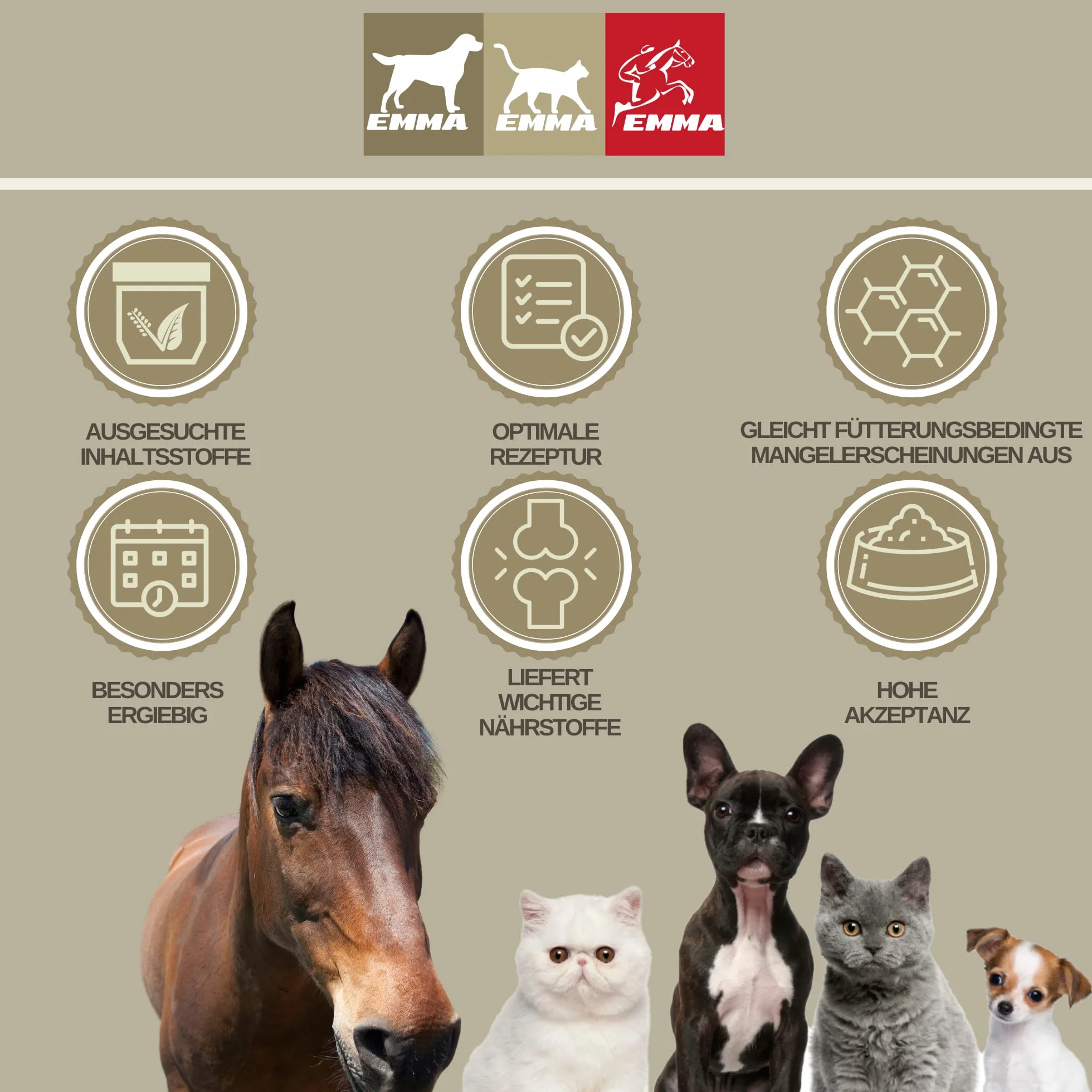 Electrolytes Cheval Pâte vitaminée pour Chevaux I Vitamine b Complexe Cheval I Electrolytes pour Chevaux Sodium Potassium Magnésium Cheval Nourriture minérale Chevaux après diarrhée Sels minéraux 3pc