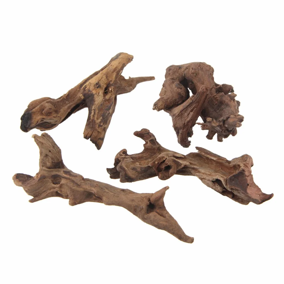 Emours Branches de bois flotté naturel pour décoration de vivarium taille assortie 4 pièces