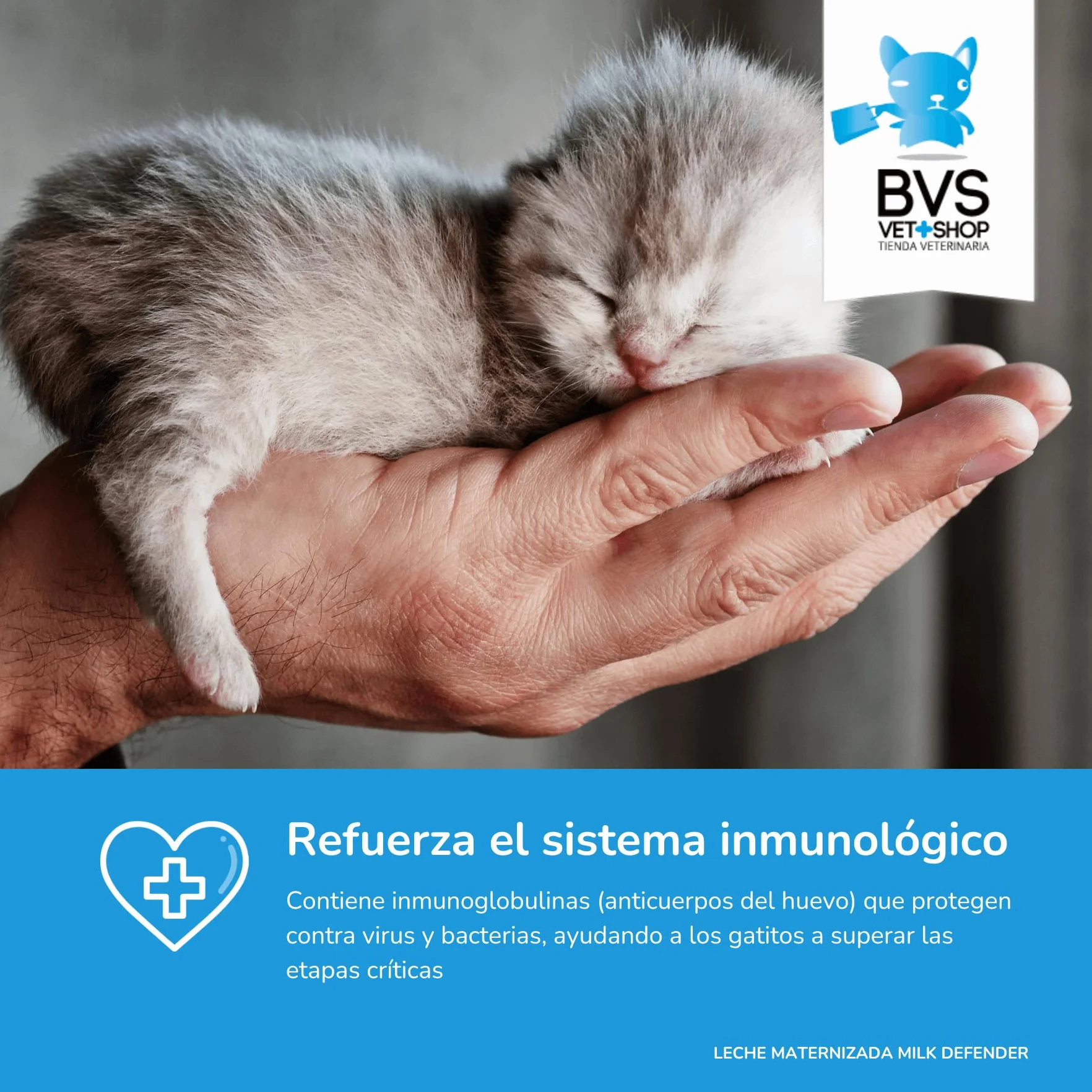 BVS Vet Shop | Lait maternisé Milk Defender pour Chatons | Aliment Complet pour l'allaitement Maternel pour Le Soin Optimal des Chatons | 1 unité x 140 g