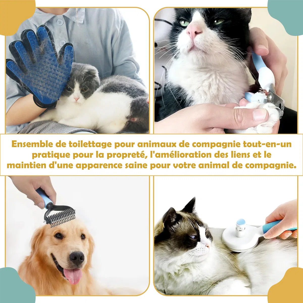 Kit Toilettage Chien Chat 9 Pièces – Brosse Chien, Brosse Chat, Gant Poil, Coupe Ongle, Lave Pattes et Accessoires Toilettage