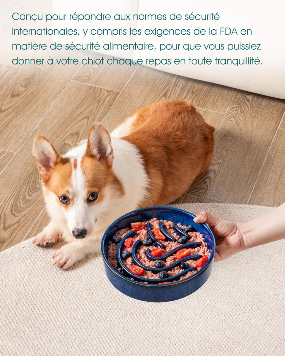 vancasso Gamelle Anti Glouton pour Chien, 960ml Gamelle pour Moyen Chien, Gamelle Chien Céramique Favorise Alimentation Saine et Digestion Lente, Bleu