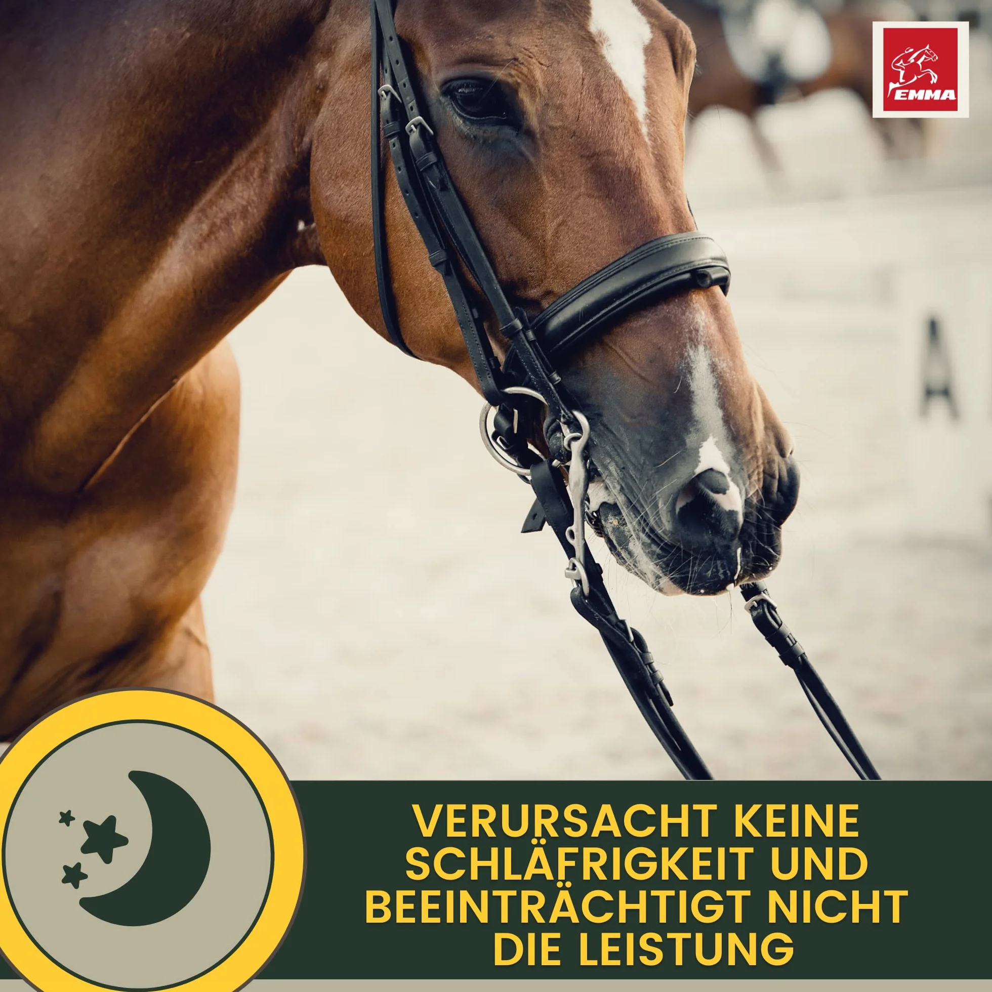 Magnésium cheval 1L + 2*30ml CALM Relax Liquid + Booster avec magnésium, L tryptophane & vitamine B12 contre anxiété & stress vitamine B 12 anti stress Apaisement cheval en transport chevaux nerveux