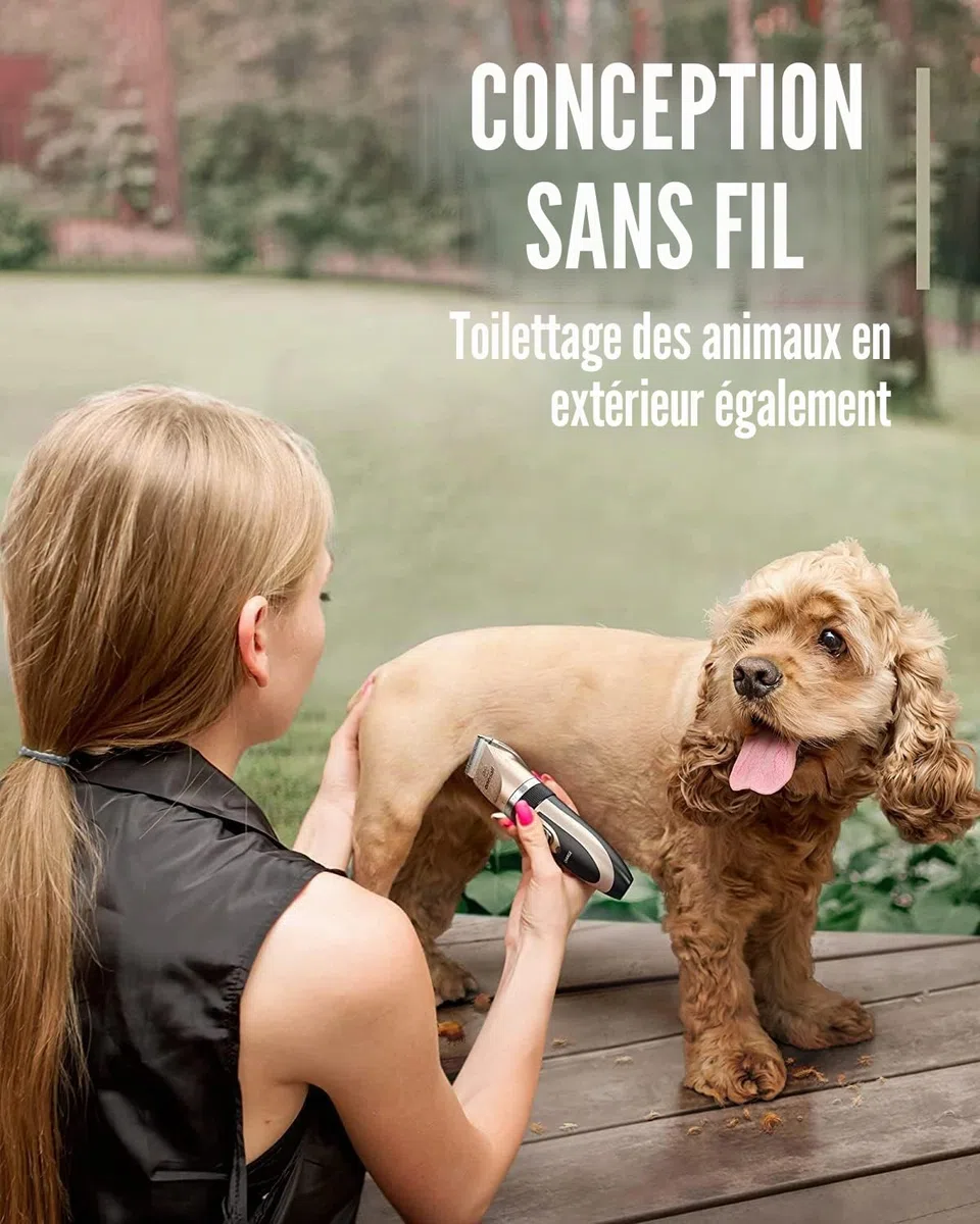 oneisall Tondeuse Chien Professionnelle Poil Long Epais Tondeuse pour Chats et Animaux Silencieux pour petits grands chiens chats animaux de compagnie (L'or)
