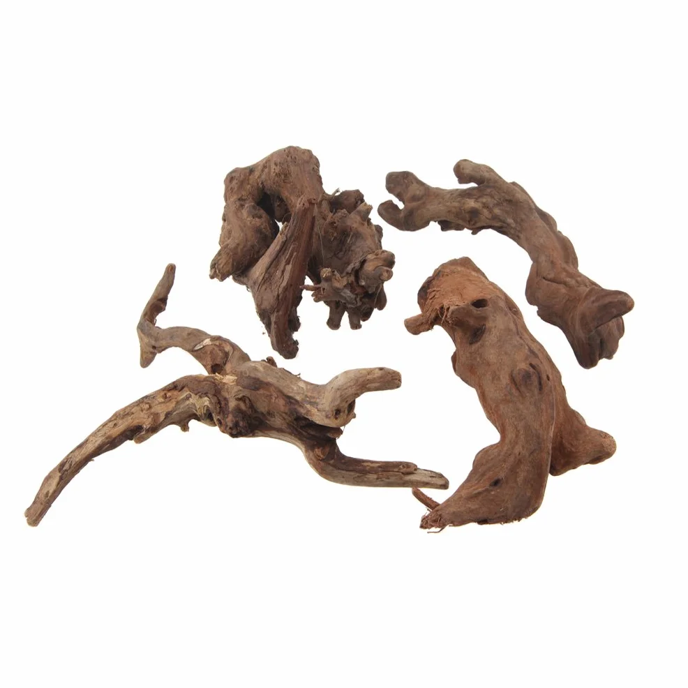 Emours Branches de bois flotté naturel pour décoration de vivarium taille assortie 4 pièces