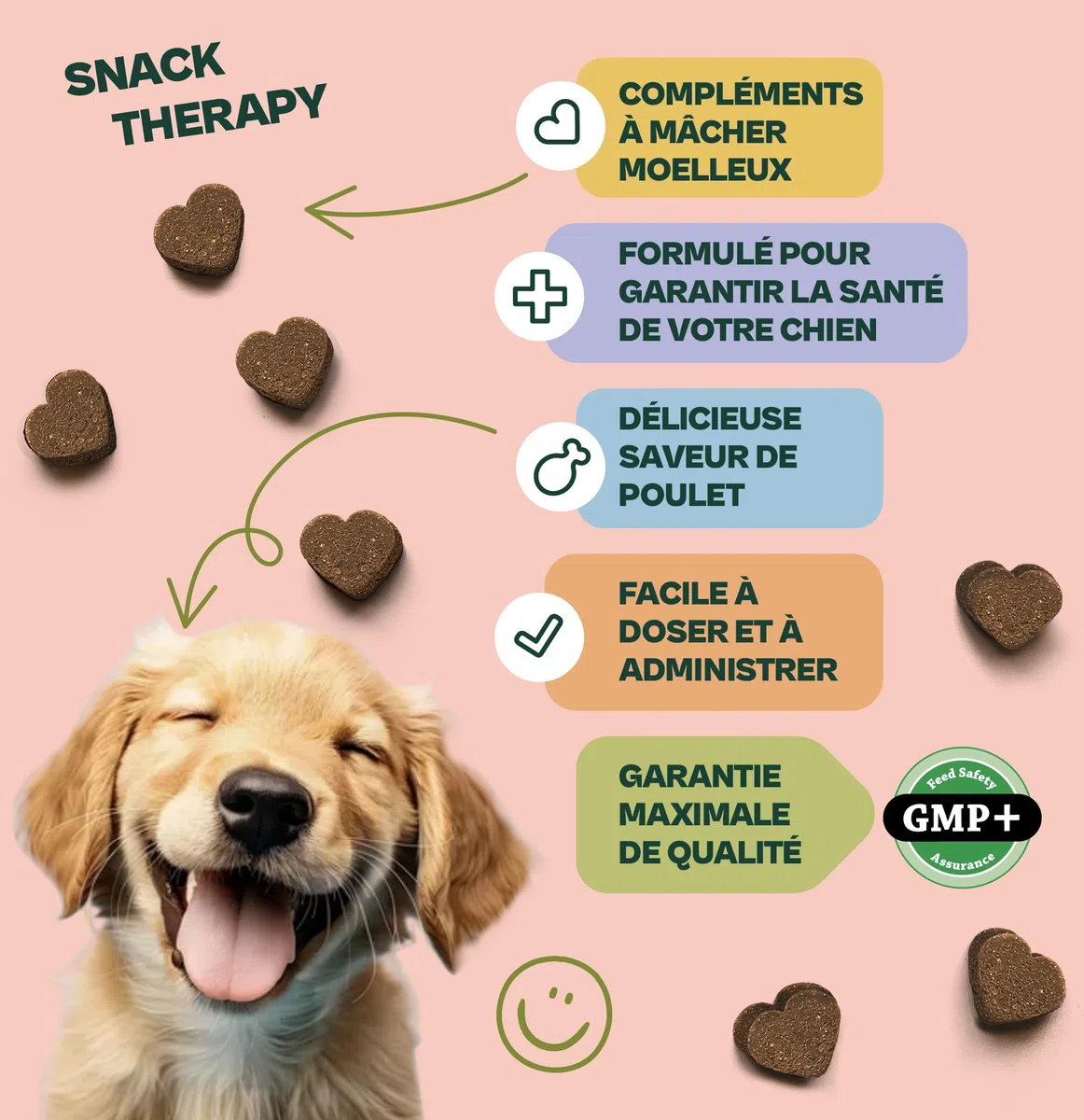 Anti Stress Chien Naturel 120 unités (300 g) – Friandises Calmantes avec L-Tryptophane, L-Théanine, Alpha-Casozépine & Ashwagandha – pour Anxiété, Séparation, Voyage et Feux d’Artifice